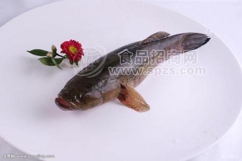 【北京笋壳鱼销售】价格/批发_厂家_图片-食品招商网
